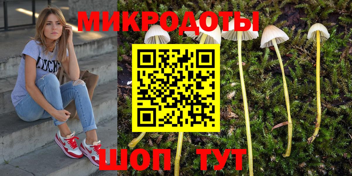 Псилоцибиновые грибы MAGIC MUSHROOMS  Вход с VPN  Тула 