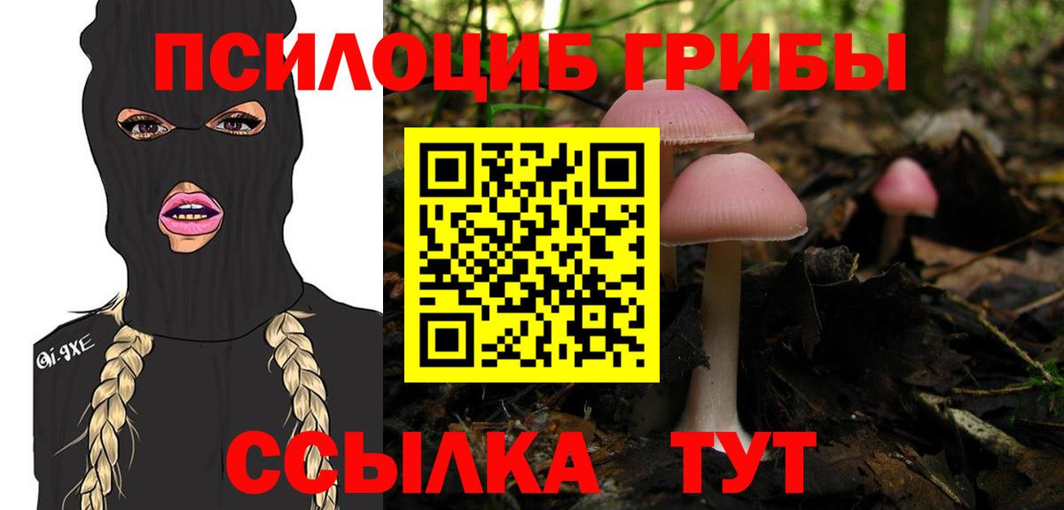 Псилоцибиновые грибы MAGIC MUSHROOMS Тула